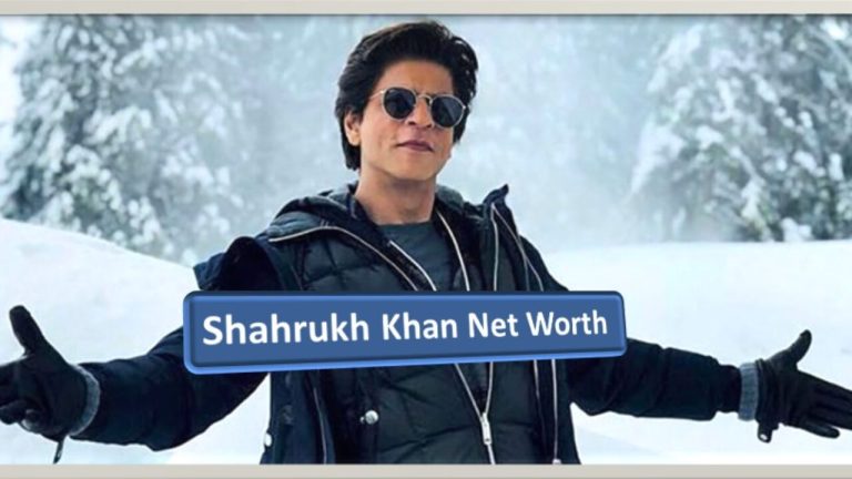 Shahrukh Khan Net Worth 2021: Bio, Salary, Business, Income